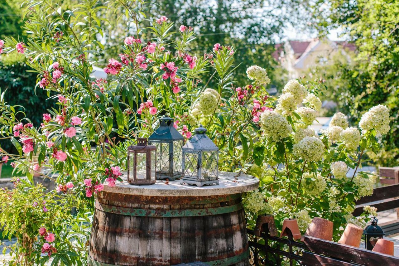Oleander Romantik Zimmer Trausdorf an der Wulka エクステリア 写真